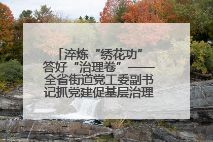 淬炼“绣花功” 答好“治理卷”——全省街道党工委副书记抓党建促基层治理培训示范班侧记