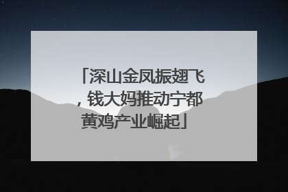 深山金凤振翅飞，钱大妈推动宁都黄鸡产业崛起