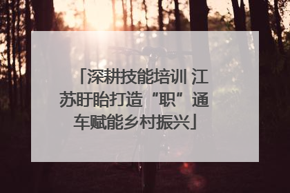 深耕技能培训 江苏盱眙打造“职”通车赋能乡村振兴