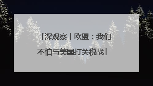 深观察丨欧盟：我们不怕与美国打关税战