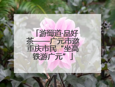 游蜀道·品好茶——广元市邀重庆市民“坐高铁游广元”