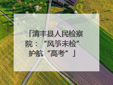 清丰县人民检察院：“风筝未检”护航“高考”