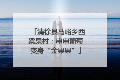 清徐县马峪乡西梁泉村：串串葡萄变身“金果果”