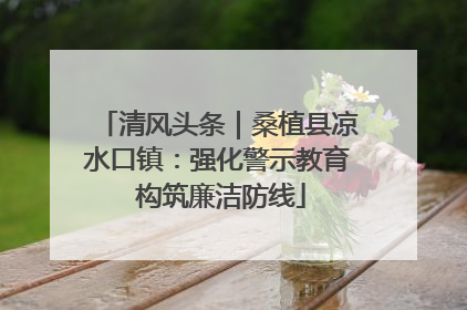 清风头条｜桑植县凉水口镇：强化警示教育 构筑廉洁防线