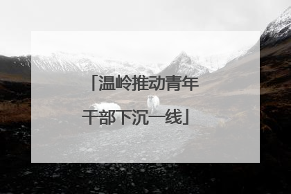 温岭推动青年干部下沉一线