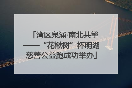 湾区泉涌·南北共擎——“花楸树”杯明湖慈善公益跑成功举办