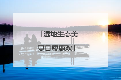 湿地生态美 夏日麋鹿欢