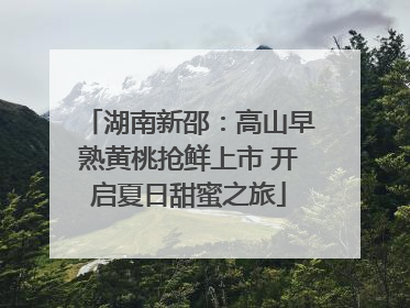 湖南新邵：高山早熟黄桃抢鲜上市 开启夏日甜蜜之旅
