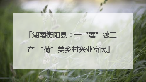 湖南衡阳县：一“莲”融三产 “荷”美乡村兴业富民