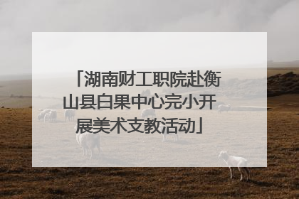 湖南财工职院赴衡山县白果中心完小开展美术支教活动