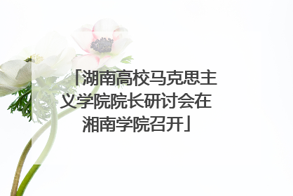 湖南高校马克思主义学院院长研讨会在湘南学院召开