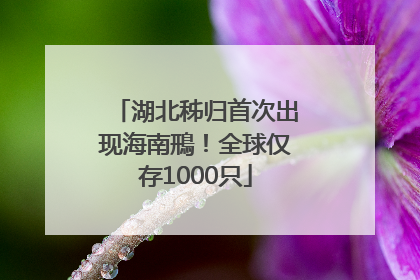 湖北秭归首次出现海南鳽！全球仅存1000只