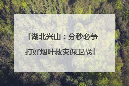 湖北兴山：分秒必争 打好烟叶救灾保卫战