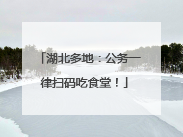 湖北多地：公务一律扫码吃食堂！