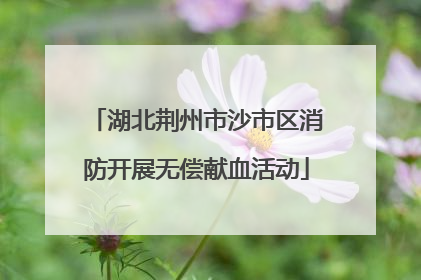 湖北荆州市沙市区消防开展无偿献血活动
