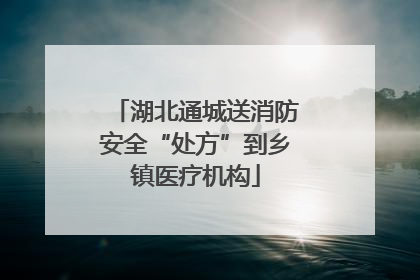 湖北通城送消防安全“处方”到乡镇医疗机构