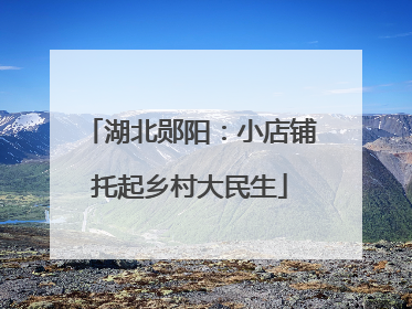 湖北郧阳：小店铺托起乡村大民生