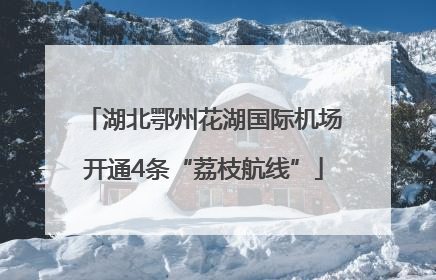 湖北鄂州花湖国际机场开通4条“荔枝航线”