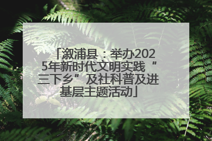 溆浦县：举办2025年新时代文明实践“三下乡”及社科普及进基层主题活动