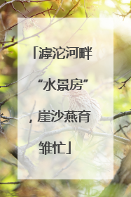 滹沱河畔“水景房”，崖沙燕育雏忙