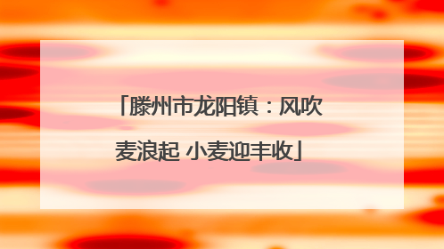 滕州市龙阳镇：风吹麦浪起 小麦迎丰收