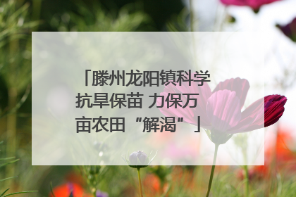滕州龙阳镇科学抗旱保苗 力保万亩农田“解渴”