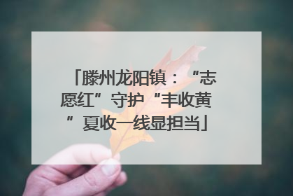 滕州龙阳镇：“志愿红”守护“丰收黄”夏收一线显担当