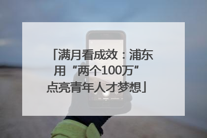 满月看成效：浦东用“两个100万”点亮青年人才梦想
