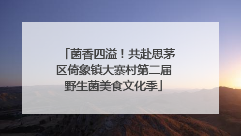 菌香四溢！共赴思茅区倚象镇大寨村第二届野生菌美食文化季