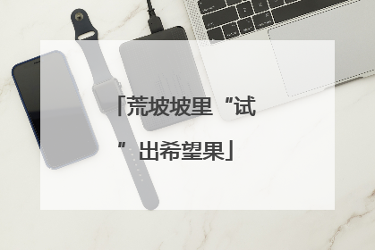荒坡坡里“试”出希望果