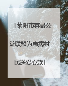 莱阳市菜哥公益联盟为患病村民送爱心款