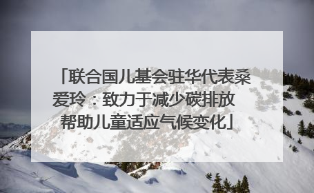 联合国儿基会驻华代表桑爱玲：致力于减少碳排放 帮助儿童适应气候变化
