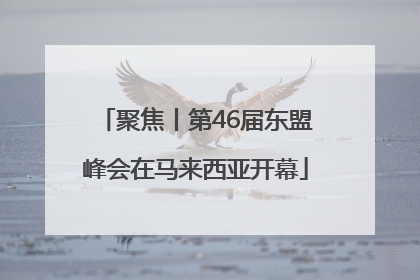 聚焦丨第46届东盟峰会在马来西亚开幕