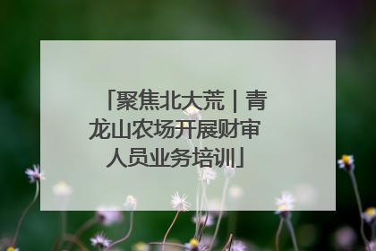 聚焦北大荒｜青龙山农场开展财审人员业务培训