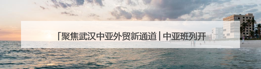 聚焦武汉中亚外贸新通道│中亚班列开辟双通道 哈萨克斯坦饲用小麦将抵鄂