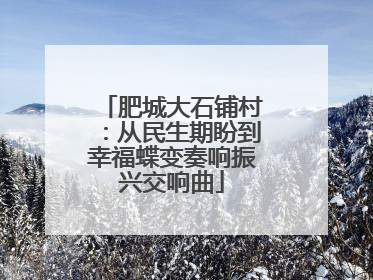 肥城大石铺村：从民生期盼到幸福蝶变奏响振兴交响曲