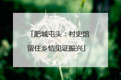 肥城屯头：村史馆留住乡情见证振兴
