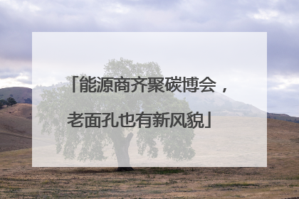 能源商齐聚碳博会，老面孔也有新风貌