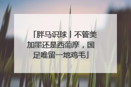 胖马识球丨不管美加墨还是西葡摩，国足唯留一地鸡毛