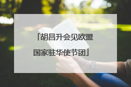 胡昌升会见欧盟国家驻华使节团
