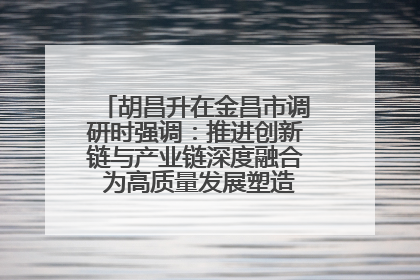 胡昌升在金昌市调研时强调：推进创新链与产业链深度融合 为高质量发展塑造新动能新优势
