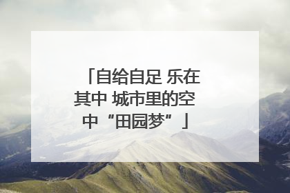 自给自足 乐在其中 城市里的空中“田园梦”