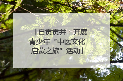 自贡贡井：开展青少年“中医文化启蒙之旅”活动