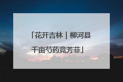 花开吉林｜柳河县千亩芍药竞芳菲