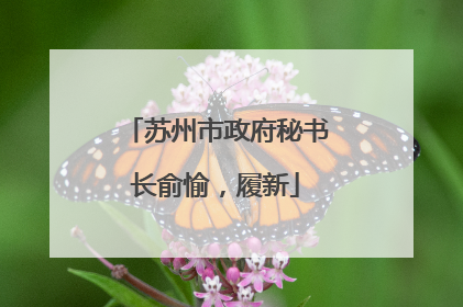 苏州市政府秘书长俞愉，履新