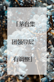 茅台集团领导层有调整