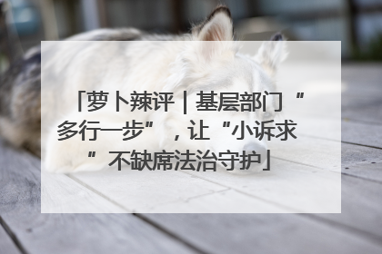 萝卜辣评｜基层部门“多行一步”，让“小诉求”不缺席法治守护
