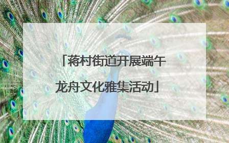 蒋村街道开展端午龙舟文化雅集活动