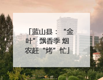 蓝山县：“金叶”飘香季 烟农赶“烤”忙