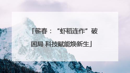 蕲春：“虾稻连作”破困局 科技赋能焕新生